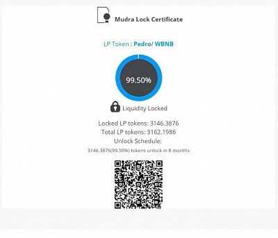 99.50% LP Tokens Lock Certificate